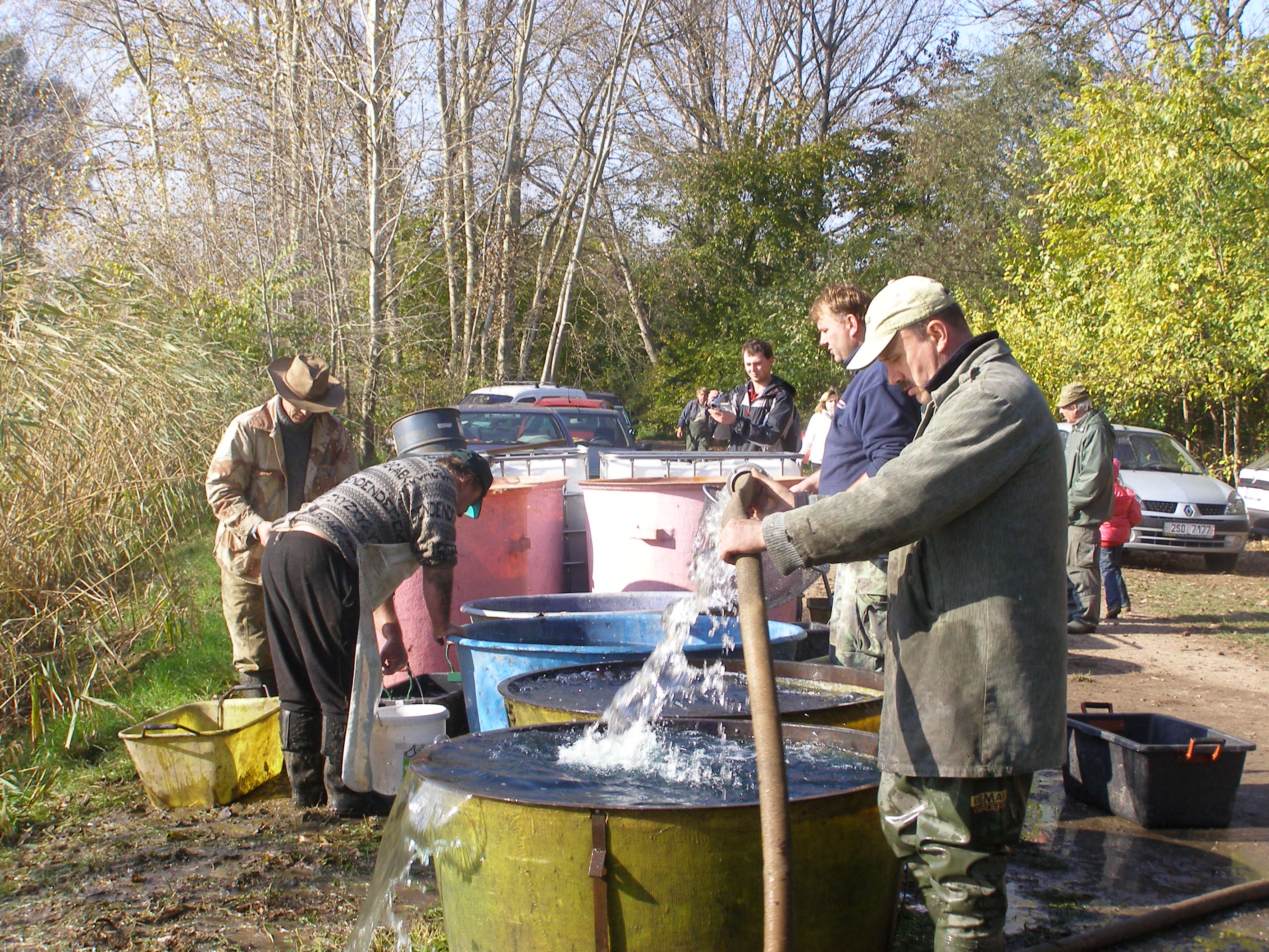 2010 rybáři výlov018